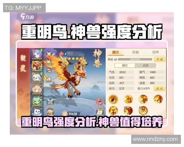 离火之境新手玩家必看过渡攻略全面解析与实用技巧分享